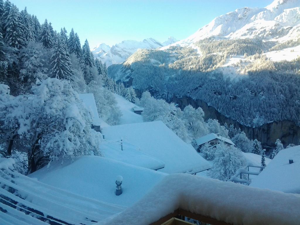 Chalet Viola - Verena'S Loft Wengen Exterior foto