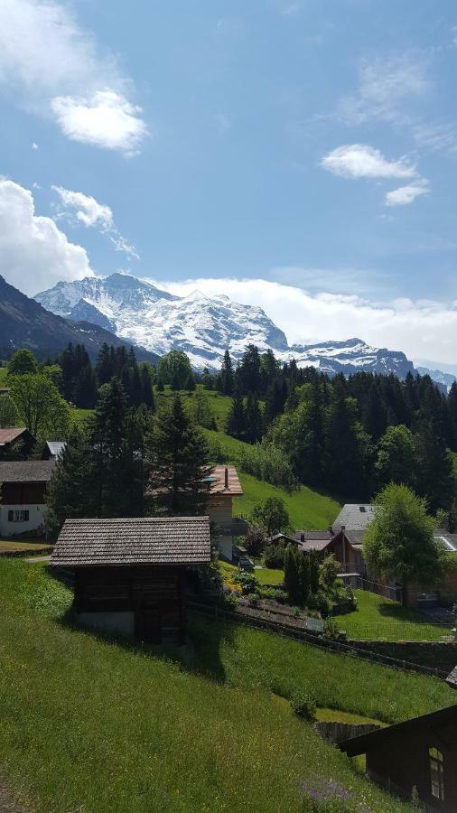 Chalet Viola - Verena'S Loft Wengen Exterior foto